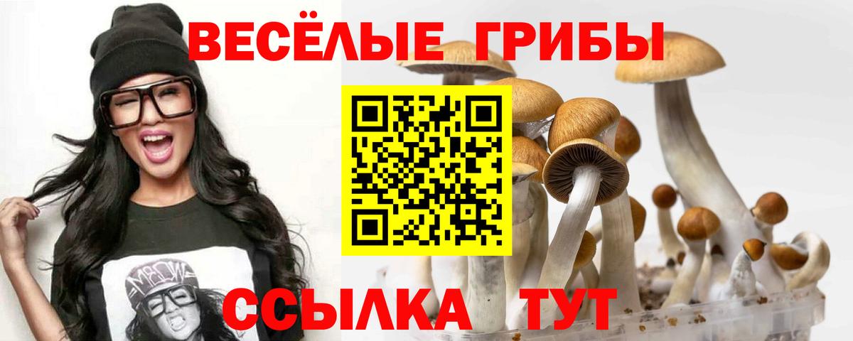 Галлюциногенные грибы Cubensis  Галлюциногенные грибы GOLDEN TEACHER  Ржев  Вход с VPN 
